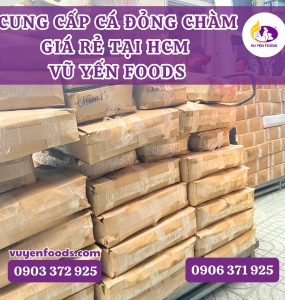 NHẬP SỈ CÁ ĐÔNG LẠNH CÁ ĐỎNG CHÀM VỀ KINH DOANH