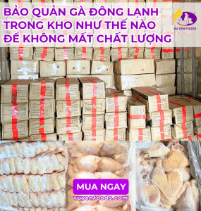 BẢO QUẢN GÀ ĐÔNG LẠNH NHƯ THẾ NÀO ĐỂ GIỮ CHẤT LƯỢNG