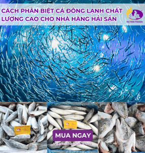 NHÀ HÀNG NÊN NHẬP CÁ ĐÔNG LẠNH CHẤT LƯỢNG Ở ĐÂU