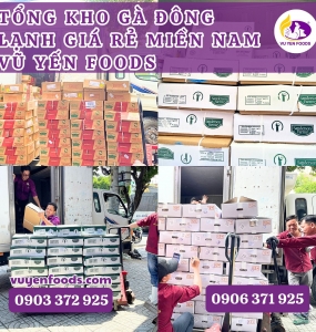 KHO SỈ GÀ ĐÔNG LẠNH GIÁ RẺ HCM