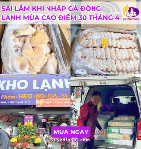 CÁCH NHẬP GÀ ĐÔNG LẠNH HIỆU QUẢ 30 THÁNG 4 1 THÁNG 5
