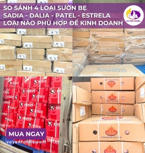 NÊN MUA SƯỜN BẸ NÀO ĐỂ KINH DOANH - SADIA - DALIA - PATEL - ESTRELA