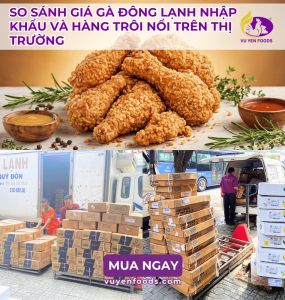 NÊN CHỌN GÀ ĐÔNG LẠNH NHẬP KHẨU HAY GÀ GIÁ RẺ TRÊN THỊ TRƯỜNG