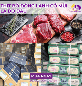 NGUYÊN NHÂN THỊT BÒ ĐÔNG LẠNH CÓ MÙI LẠ VÀ CÁCH XỬ LÝ