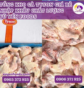 NHẬP SỈ GÓC TƯ TYSON GIÁ RẺ TẠI HCM