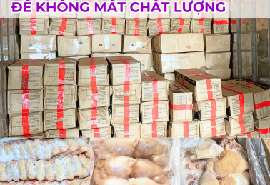BẢO QUẢN GÀ ĐÔNG LẠNH NHƯ THẾ NÀO ĐỂ GIỮ CHẤT LƯỢNG