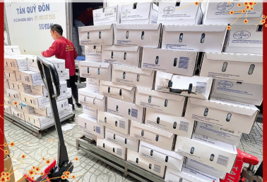 CÁCH NHẬP THỰC PHẨM ĐÔNG LẠNH HIỆU QUẢ DỊP TẾT CHO NHÀ HÀNG QUÁN ĂN