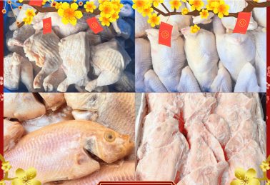 NHẬP SỈ THỰC PHẨM ĐÔNG LẠNH MÙA CAO ĐIỂM SAO CHO HIỆU QUẢ